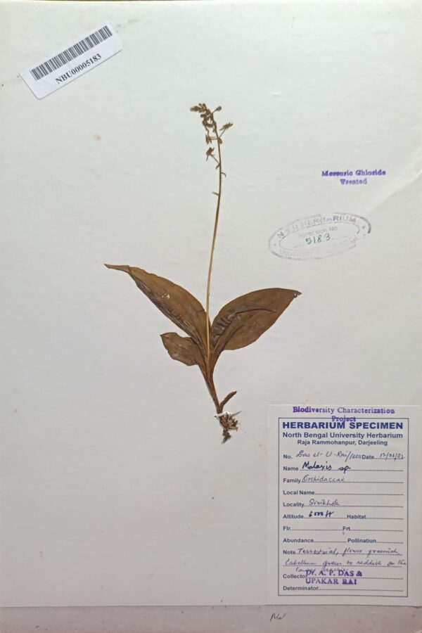 DocScanner 7 Apr 2026 4-16 pm – Copy
